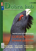 dobra-kob-magazin-147