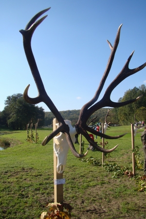 Krasan lovački običaj iz Mađarske: prikaz rogovlja odstrijeljenih jelena