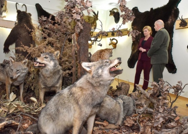 Među mrtvim vukovima i medvjedima: odlikovanje lovcima ‘za očuvanje ekološke i biološke raznolikosti’