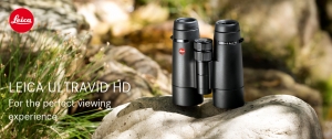 Leica 10x50 Ultravid HD Binocular