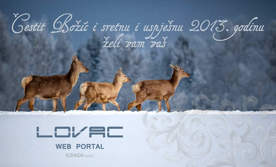 web-portal-lovac-cestitka-2013-540