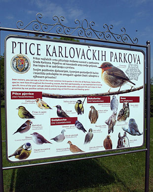 ptice_karlovackih_parkova
