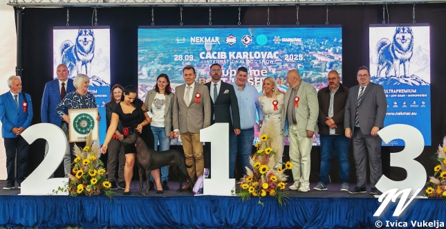 “4 Rivers Winner 2025” – Karlovac