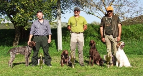 Državna prvenstva lovačkih pasa u Trilju - rezultati