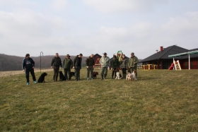 Održan Ispit prirođenih osobina i SMOTRA za pse ptičare, retrivere i šunjkavce u organizaciji KD Koprivnica
